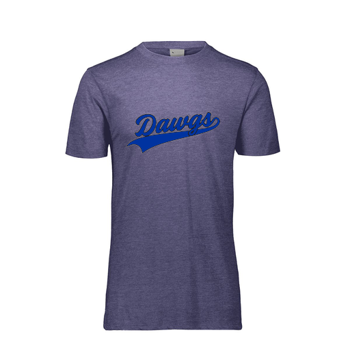 [FTSCUBRY-AS-LOGO2] Decker Men's Tri-Blend T-Shirt - Short Sleeve (Adult S, Royal, Logo 2)
