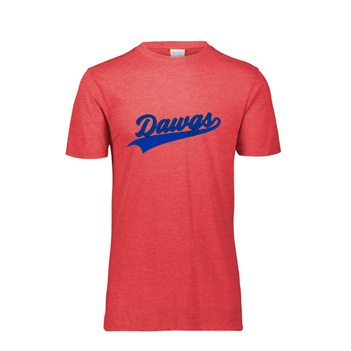 [FTSCUBRD-YS-LOGO2] Decker Youth Tri-Blend T-Shirt - Short Sleeve (Youth S, Red, Logo 2)