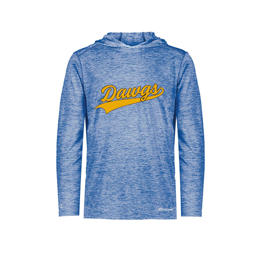 [FOLHCGRY-AS-LOGO3] Decker Men's Charge Hoodie (Adult S, Royal, Logo 3)