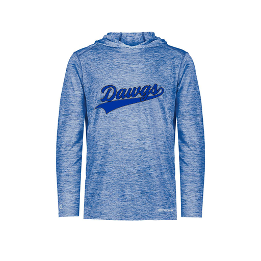 [FOLHCGRY-YS-LOGO2] Decker Youth Charge Hoodie (Youth S, Royal, Logo 2)